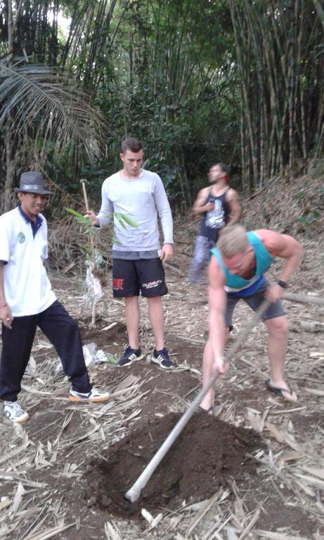 Tiing Bali Guest House Adventure Kintamani エクステリア 写真