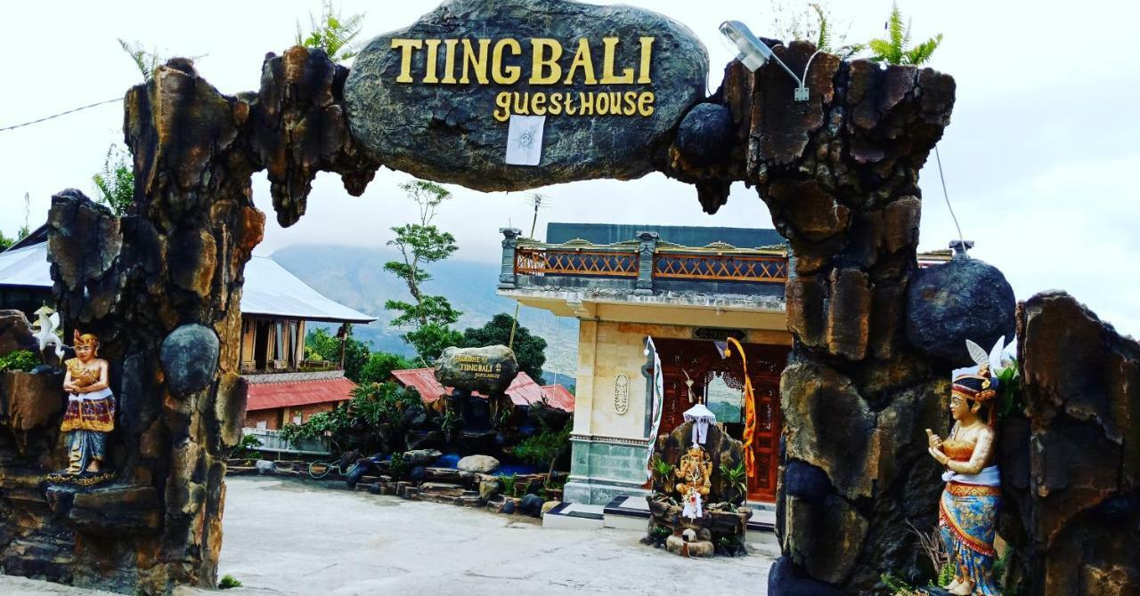 Tiing Bali Guest House Adventure Kintamani エクステリア 写真